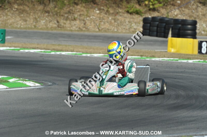 DSC_ (1105).JPG